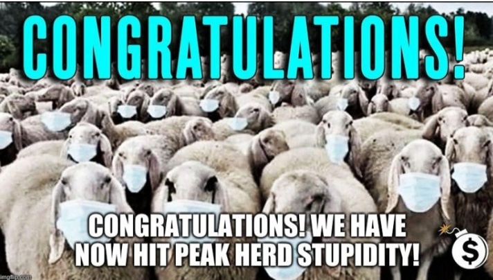 Herd Stupidity, Abainya Masayarakat Komunal