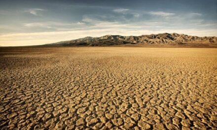 Demi Hadir di KTT Iklim Sedunia ke-26, Dua Warga Jerman Nekad Berjalan Kaki Sejauh 1.450 Km